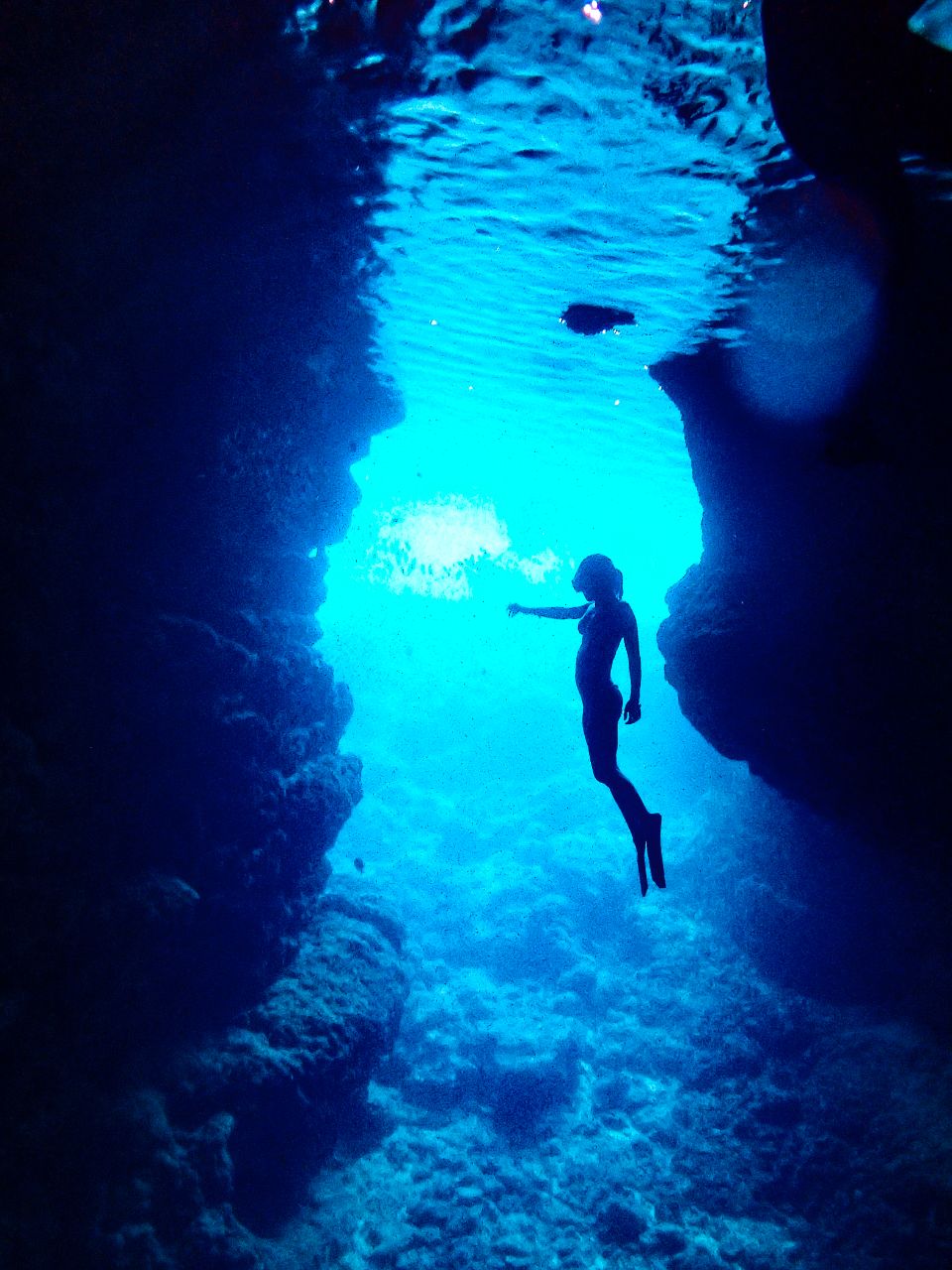 青の洞窟のスノーケリングツアーと熱帯魚＆珊瑚礁スノーケル（天然ビーチで熱帯魚＆珊瑚礁スノーケル）