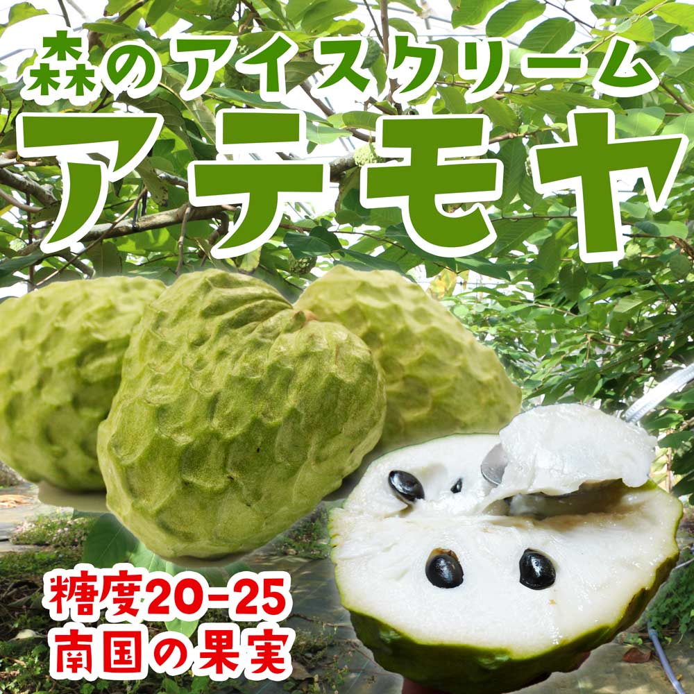 森のアイスクリームと呼ばれる果実アテモヤ！ | 【公式】恩納村の観光 